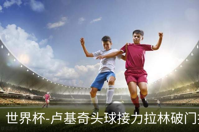 世界杯-卢基奇头球接力拉林破门扳平 加拿大1-1波黑