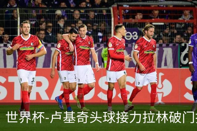 世界杯-卢基奇头球接力拉林破门扳平 加拿大1-1波黑