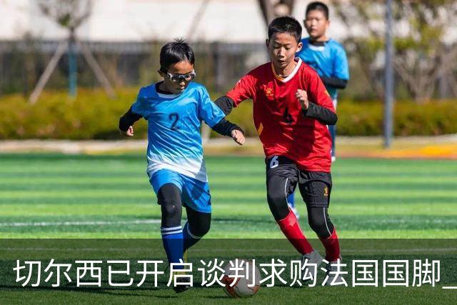 切尔西已开启谈判求购法国国脚 水晶宫要价超5500万镑