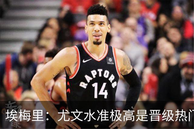 埃梅里：尤文水准极高是晋级热门 但我们不会放弃