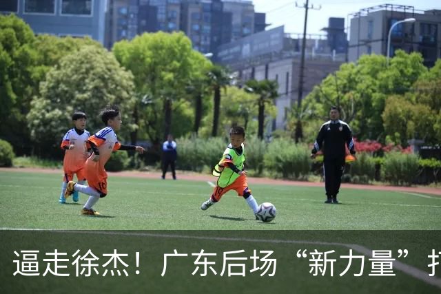 逼走徐杰！广东后场“新力量”打成大腿，杜锋为他放弃控卫外援！